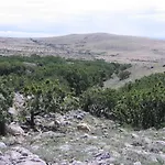 Nadia Stara Baška