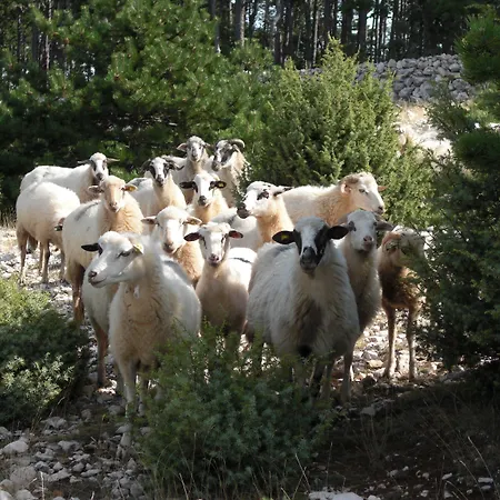 Pensionat Nadia Stara Baška
